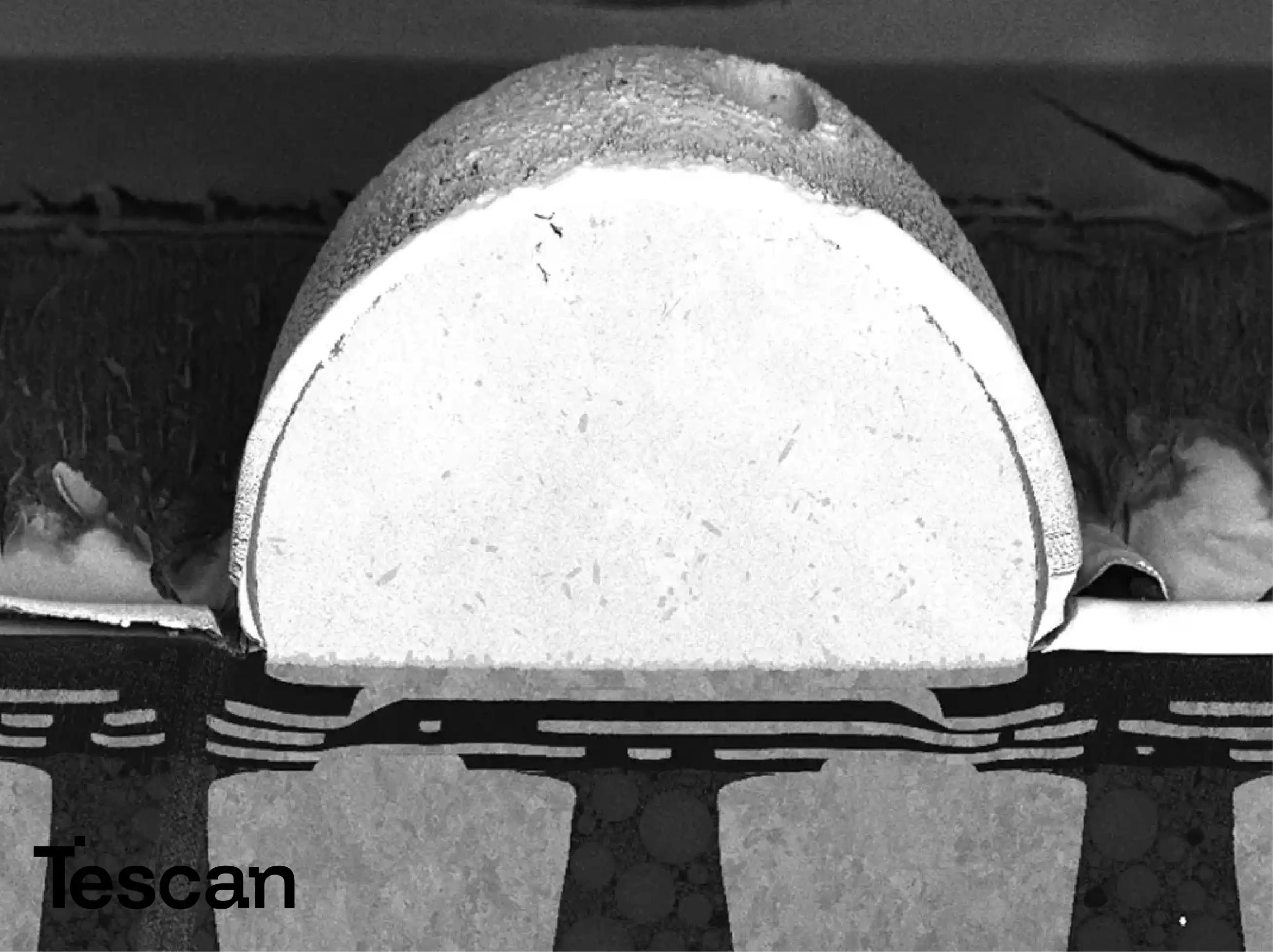 Tescan FIB-SEM for Life Science